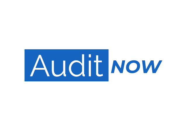 AuditNow logo